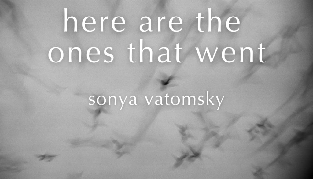 sonya vatomsky - here are the ones that went