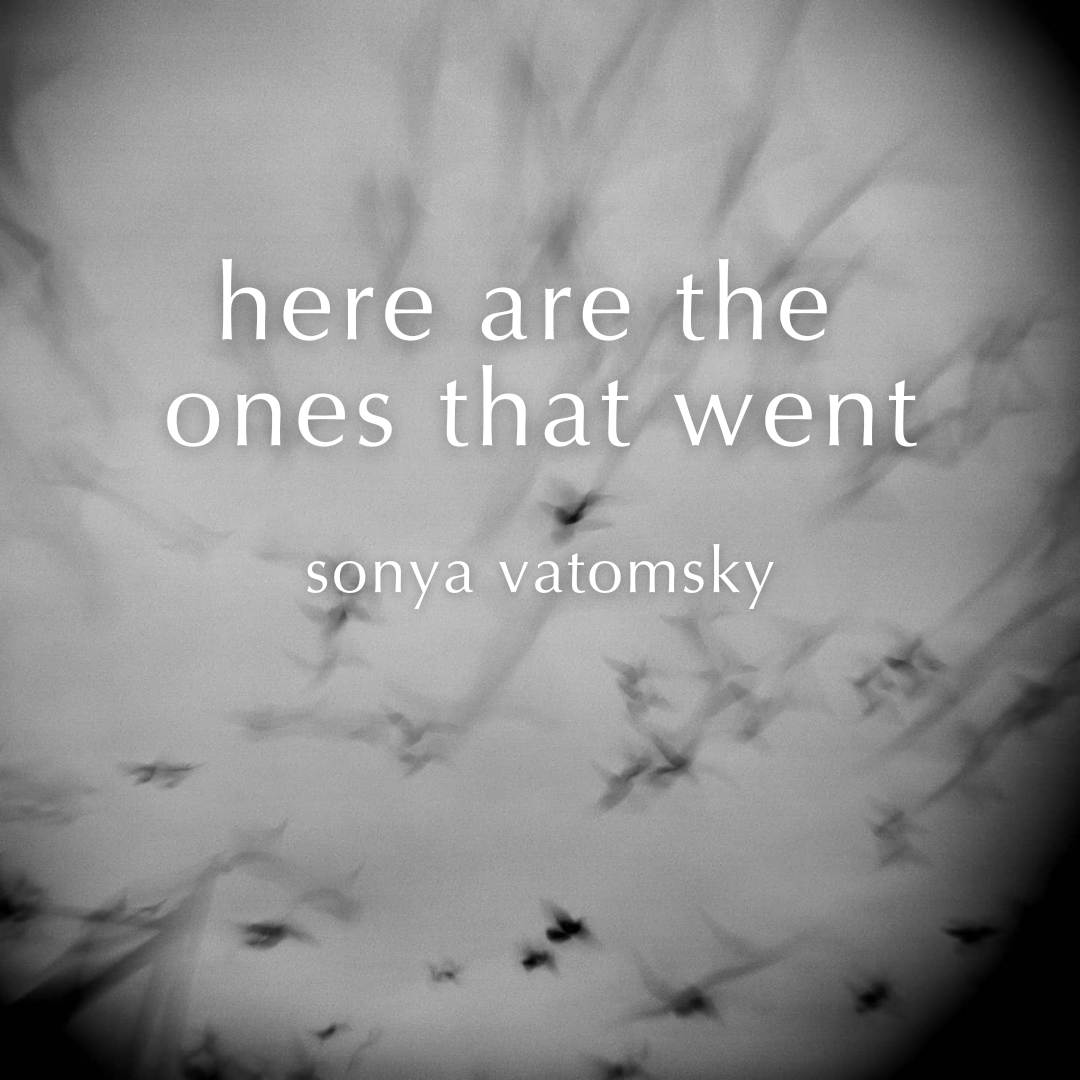 sonya vatomsky - here are the ones that went